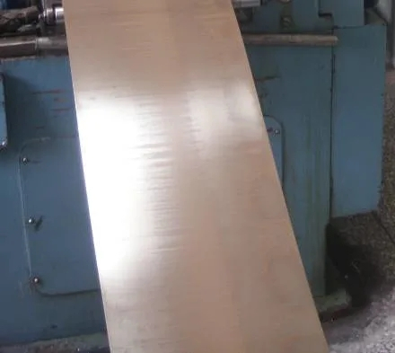 Nickel -Legierungsstange/Streifen/Draht in 100 (EMS55089)